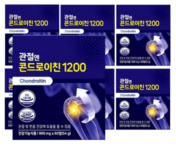 관절엔콘드로이친1200